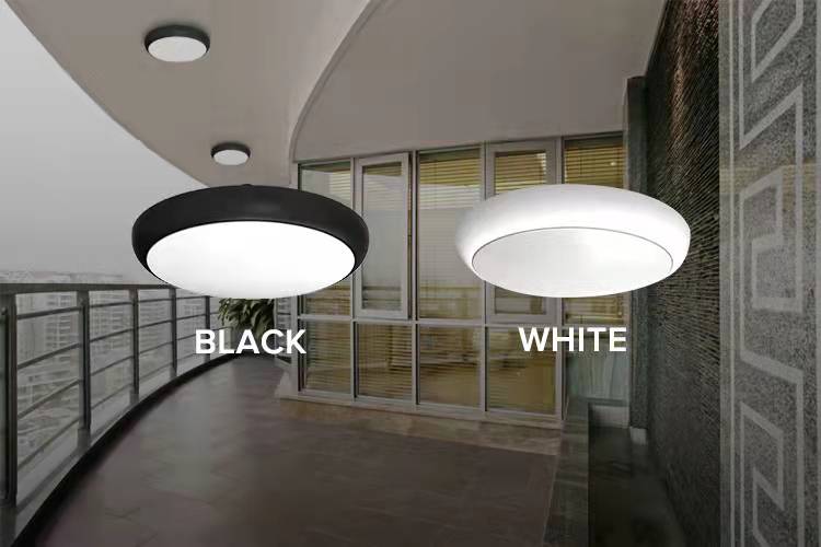 12W/18W/24W CCT Tri Color Adjustable Wattage LED IP65 Bulkhead Standard